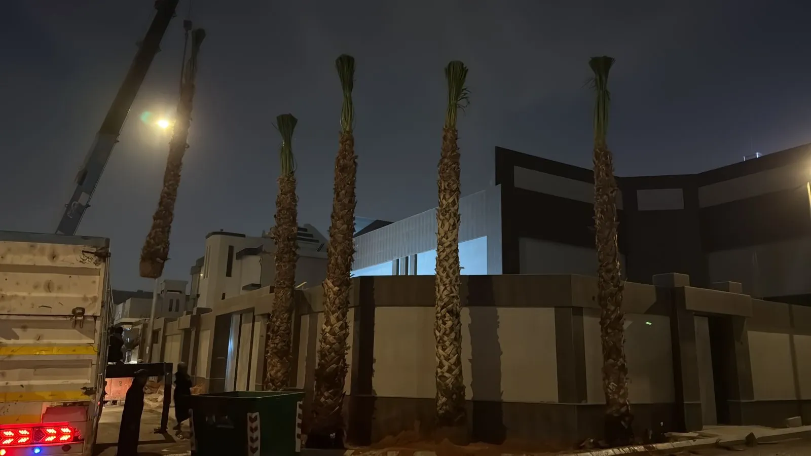 زراعة نخيل وتجهيز الموقع للمشروع