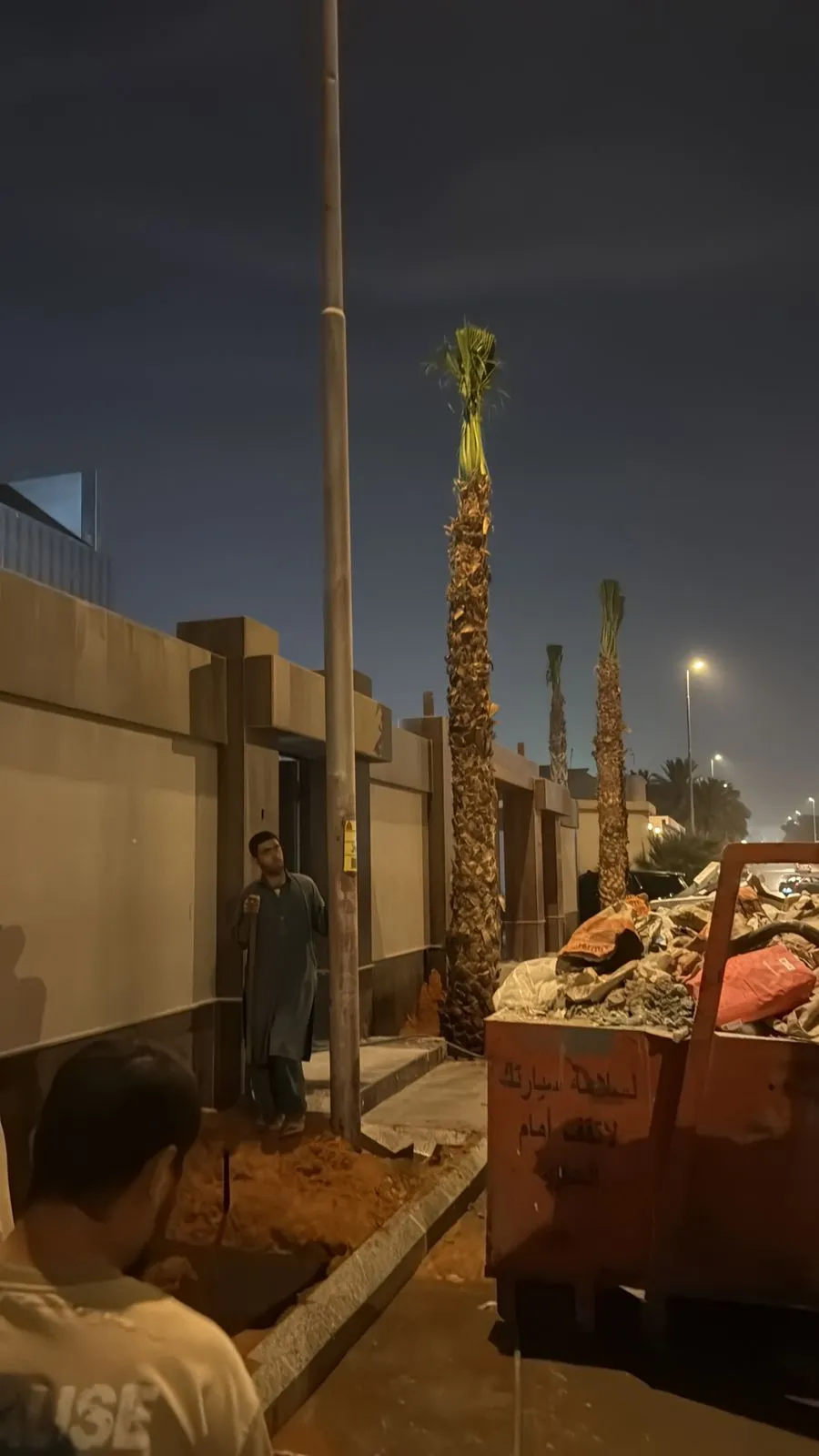 زراعة نخيل والعناية به بعد الزراعة | إرشادات عملية